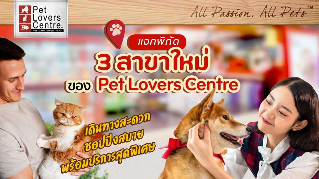 Cover VDO Pet Lover 1024x576 